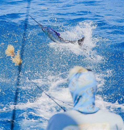 All About Sailfish – Facts About Atlantic Sailfish