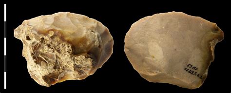 The Mousterian Middle Paleolithic Tool Industry