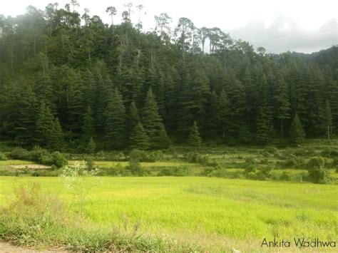 Uttarakhand Delight - Ranikhet - Nainital | Learning and Creativity ...