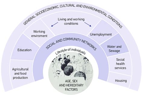 Social Determinants of Health: Dahlgren and Whitehead model. | Download Scientific Diagram