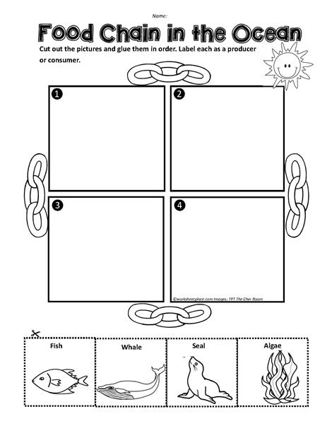 Ocean Food Chain Worksheet