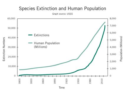 Overpopulation Effects - Everything Connects