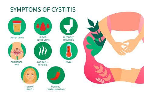 Understanding symptoms and treatments for cystitis - Healthy Life Essex