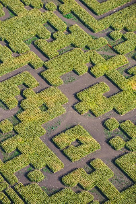 Aerial Photo | Corn Maze