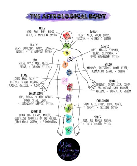 Starmaps : The Astrological Body — Worts + Cunning Apothecary | Intersectional Herbalism ...