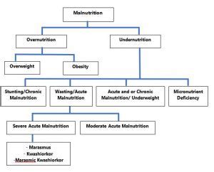 Malnutrition, Its Causes and Types of Malnutrition - Public Health Notes