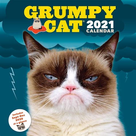 Funny Cat Calendar