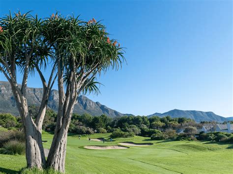 Steenberg Golf Club • Golf Safaris & Tours