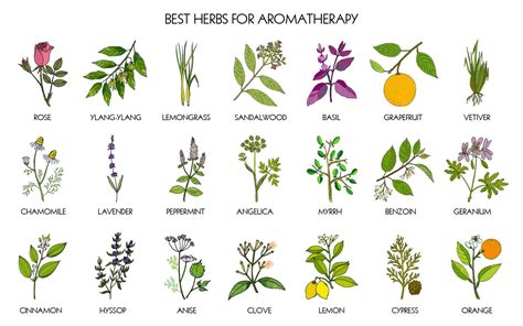 How Aromatherapy Benefits Your Body and Skin - BeautyFrizz