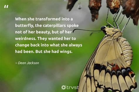 Best deep butterfly quotes for her