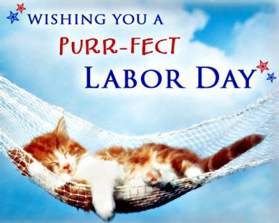 Tips for Keeping Your Pets Safe, Happy and Healthy This Labor Day ...