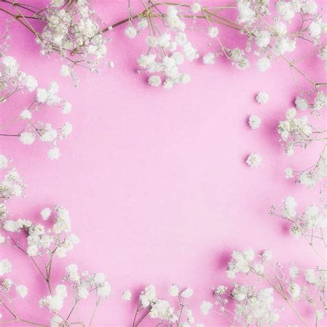 Collection 92+ Pictures Pink And White Flower Background Stunning