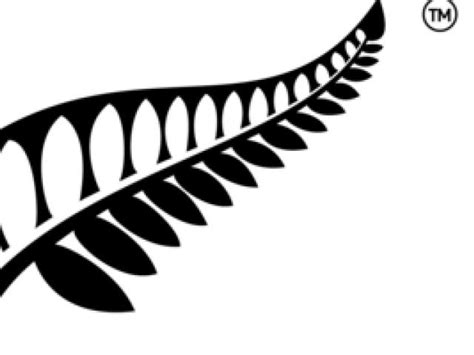 Social media backlash over silver fern logo | Otago Daily Times Online News