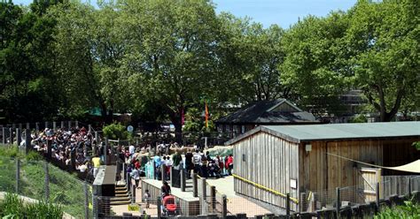 Opening Hours - London Zoo (London)