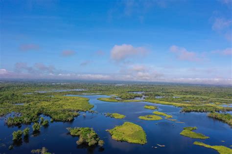 Agusan Marsh Wildlife Sanctuary Protected Area Management Office