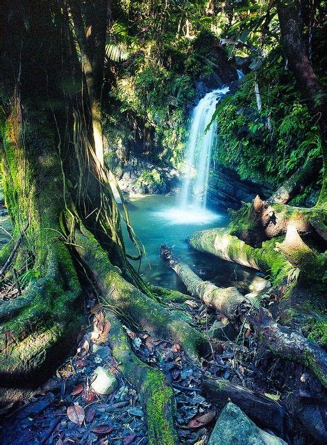 Enchanted falls in the forest ~ Rio Grande, Puerto Rico #vacation | Waterfall, Wonders of the ...