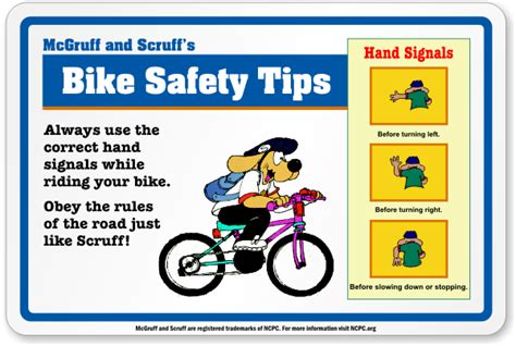 bike safety tips - Proactive World News