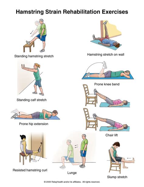 Hamstring Exercises Images & Pictures - Becuo