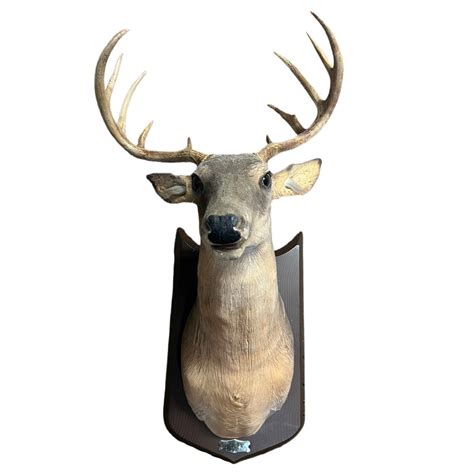 Vtg Buck The Singing Talking Deer Head Mount Motion Animated Wall ...