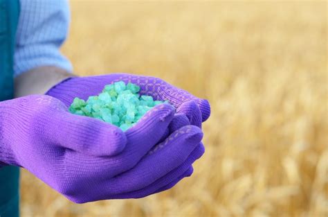 10-10-10 Fertilizer: What Is It And How Does It Work? - The Home Tome