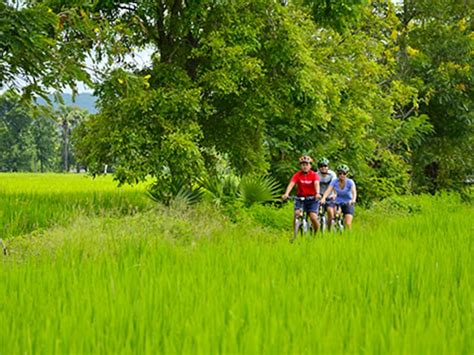 Sankampaeng and Lanna Countryside Cycling Tour from Chiang Mai tours, activities, fun things to ...