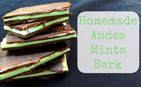 National Chocolate Mint Day | Homemade Andes Chocolate Mints Bark