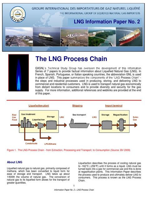 LNG Process Chain.pdf | Liquefied Natural Gas | Natural Gas