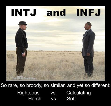 Pin by Selena Malone on INTJ- We Are Rare! | Infj, Intj and infj, Infj psychology