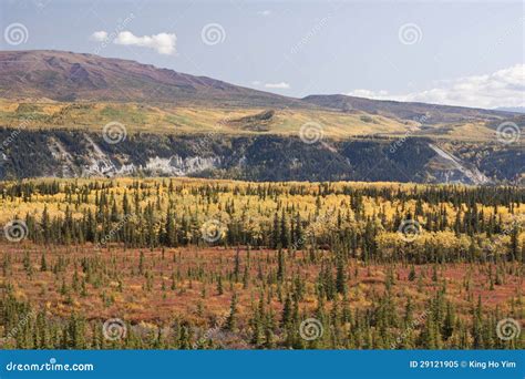 Alaska Range in Denali stock image. Image of mckinley - 29121905