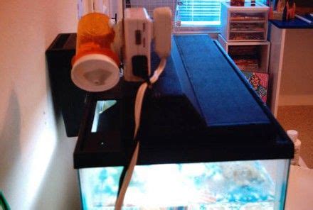 DIY Automatic Fish Feeder is outstandingly simple, rewarding | Engadget | Fish feeder, Automatic ...