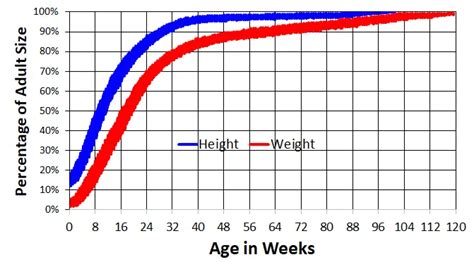 Toy Poodle Puppy Growth Chart | Wow Blog