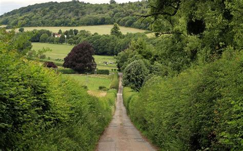 Hedgerows guide – Field Studies Council