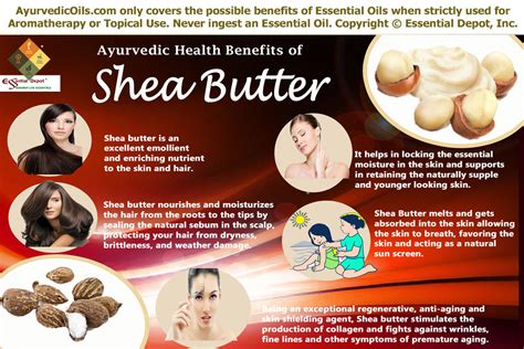 health benefits of Shea butter | Essential Oil