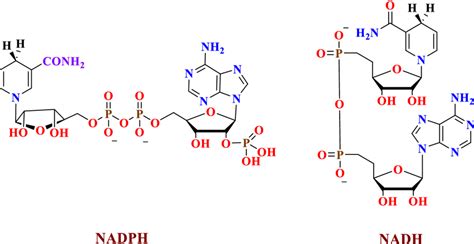 Nadh Molecule