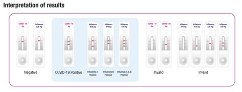 Influenza / COVID-19 Antigen Rapid Test Kit (A254380)