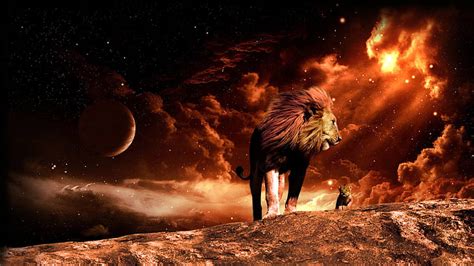 HD wallpaper: space, fire, Leo, lion | Wallpaper Flare