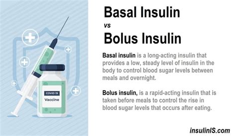 Basal Insulin vs Bolus Insulin - How to use, benefits, & risks