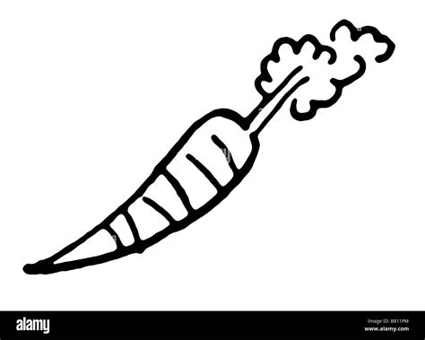 A black and white version of a crude drawing of a carrot Stock Photo ...