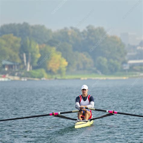 Man rowing scull - Stock Image - F024/7510 - Science Photo Library