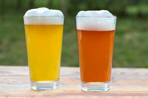 Beginner's Guide to Pale Ale