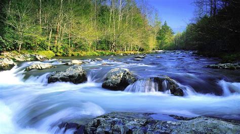 Free photo: Fast-Flowing River - Creek, Nature, River - Free Download ...