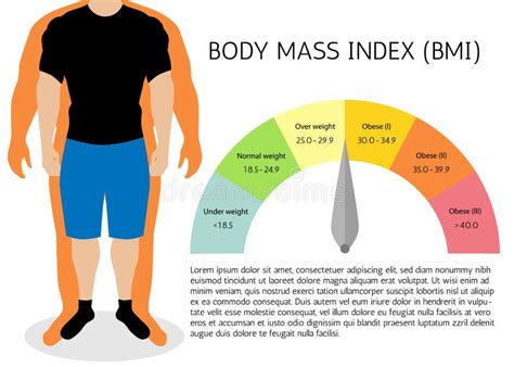 Body-Maß-Index, Illustration Mannschattenbilder Männlicher Körper Mit Unterschiedlichem Gewicht ...