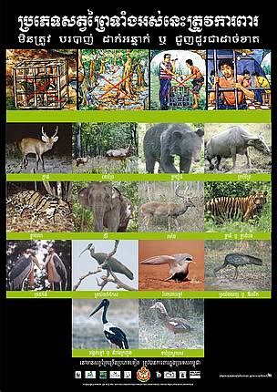 Endangered species and rare species posters | WWF