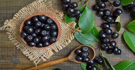 Make Aronia Berries a Part of Your Healthy Diet