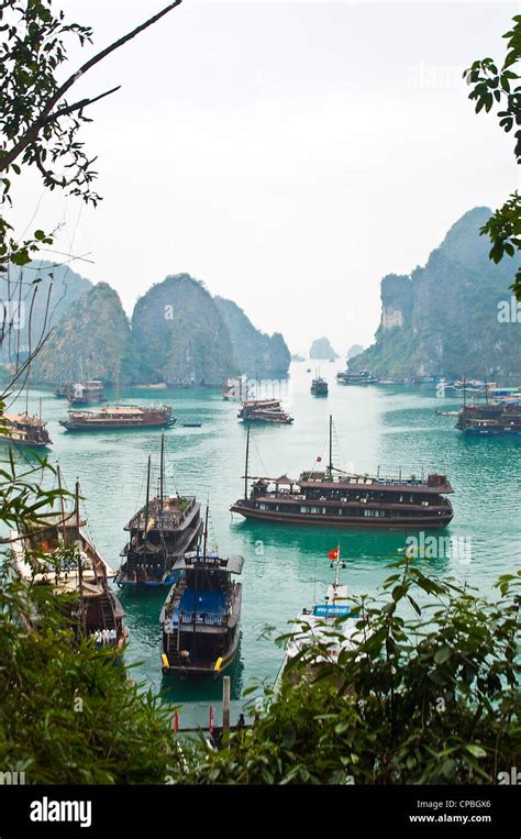 Vertical aerial view of one of many bays in Halong Bay bustling with ...