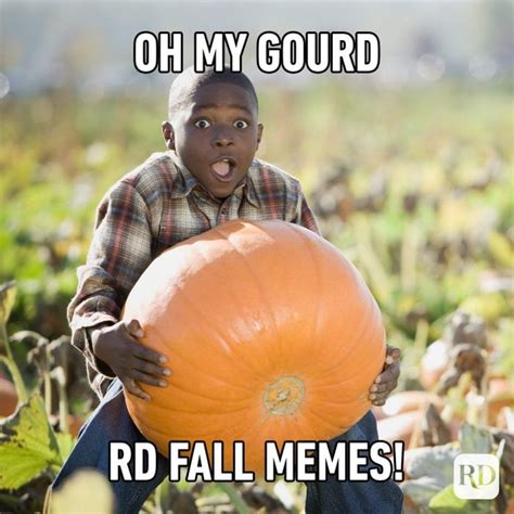 30 Fall Memes All Autumn Lovers Will Relate To in 2023