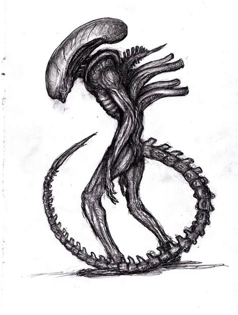 Xenomorph Drawing at PaintingValley.com | Explore collection of ...