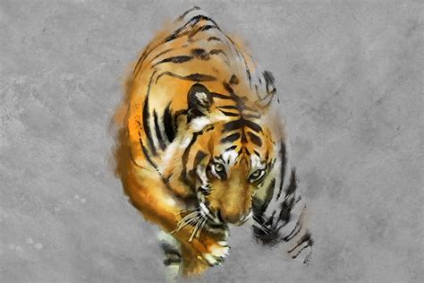 Tiger Painting – Print A Wallpaper