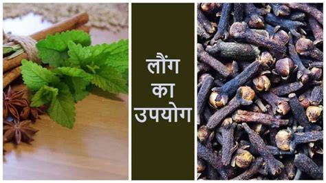 लौंग खाने के फायदे, उपयोग और नुकसान - 11 Proven Clove Benefits in Hindi