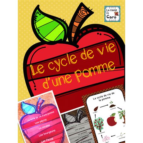 Le Cycle De Vie D Une Pomme Imprimable Apple Tree Lif - vrogue.co